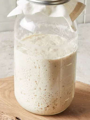 Sourdough Starter