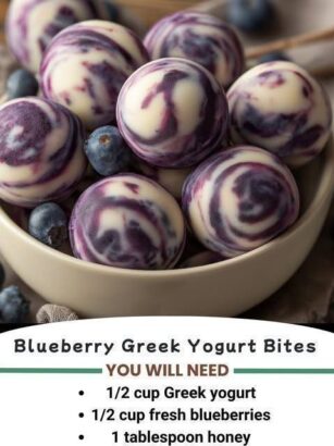 Blueberry Greek Yogurt Bite