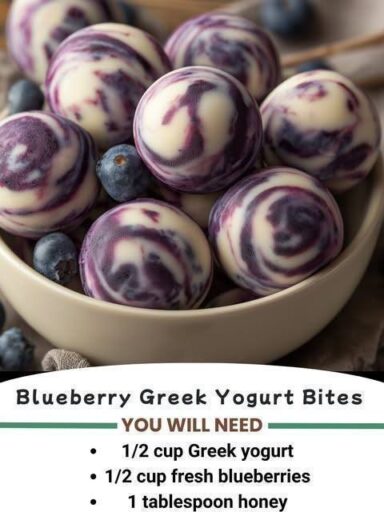 Blueberry Greek Yogurt Bite