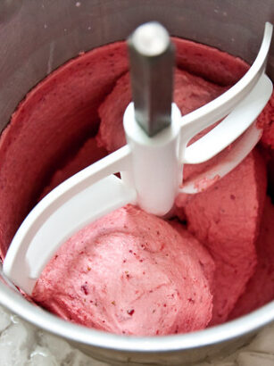 Thermomix Strawberry Ice Cream